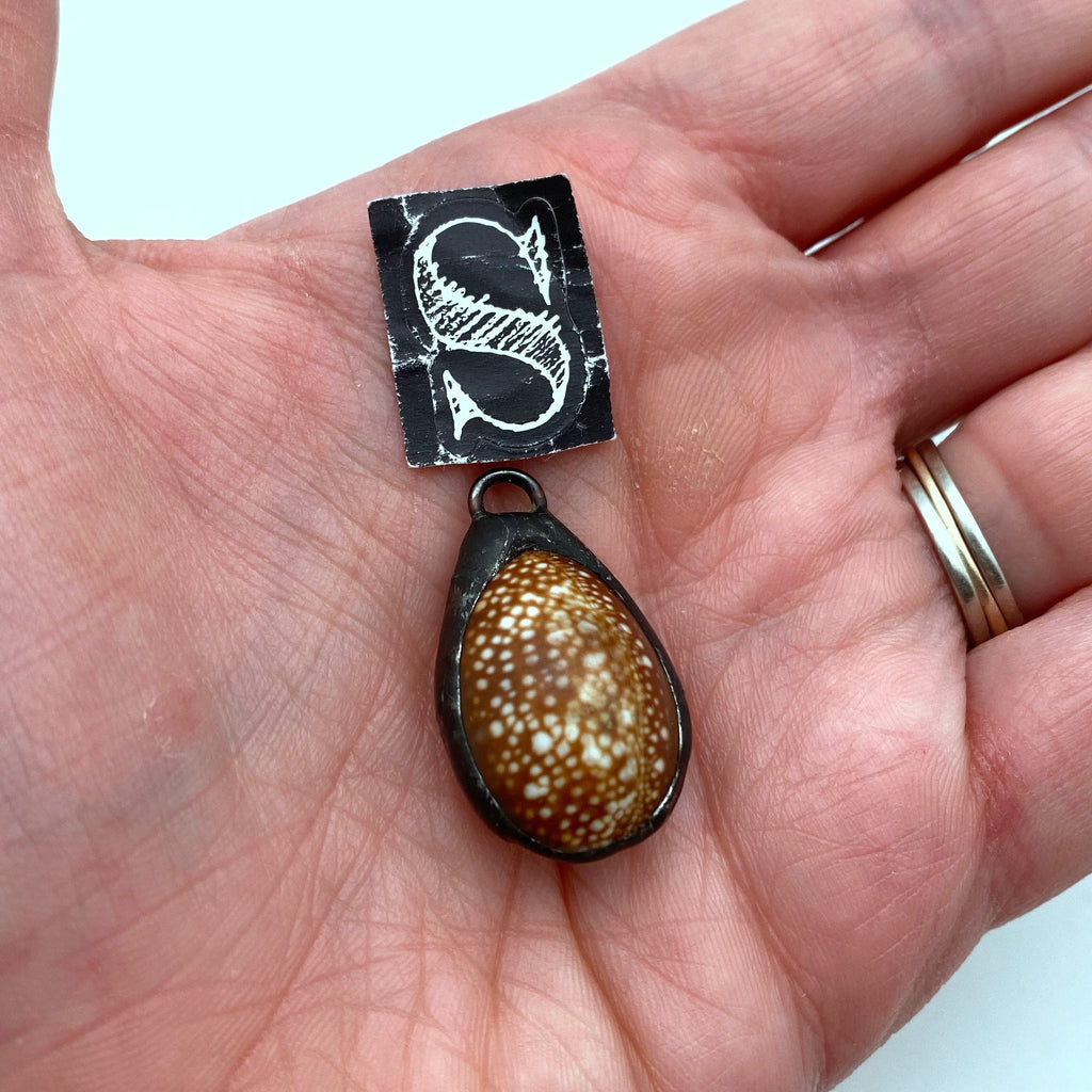 Brown & Spotted White Cowrie Shell Soldered Pendant (SHP11)